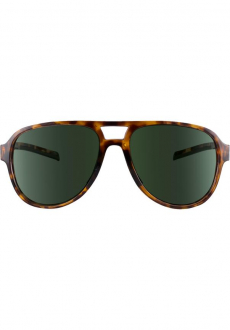 TSG - Sunglasses Cruise brown